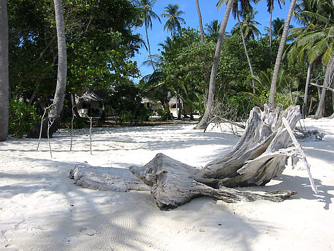 Fotos Der weiße Sandstrand