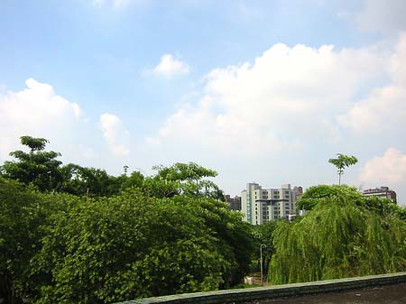 Foto Daan Park
