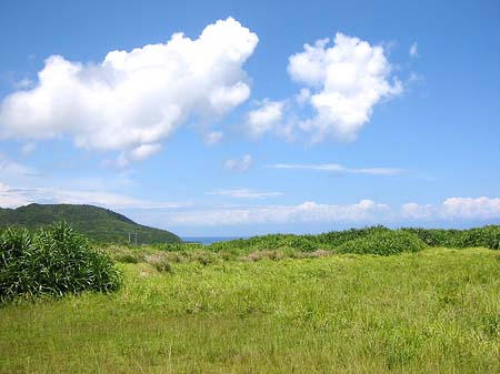 Foto Green Island