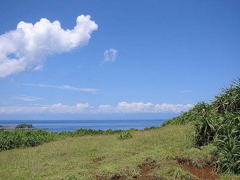 Fotos Green Island | 