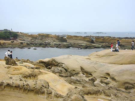 Fotos North East Coast | 