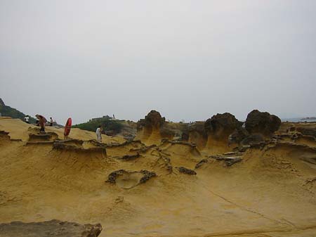 North East Coast Foto 