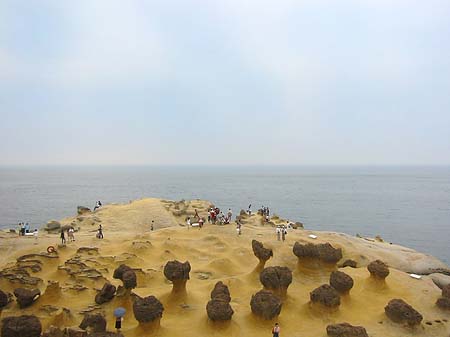 Foto North East Coast - 