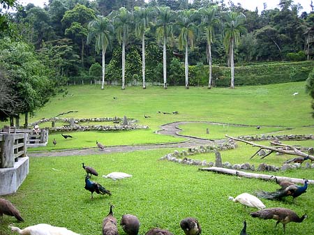 Foto Sun Moon Lake